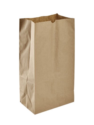 BAG PAPER 12LB BROWN