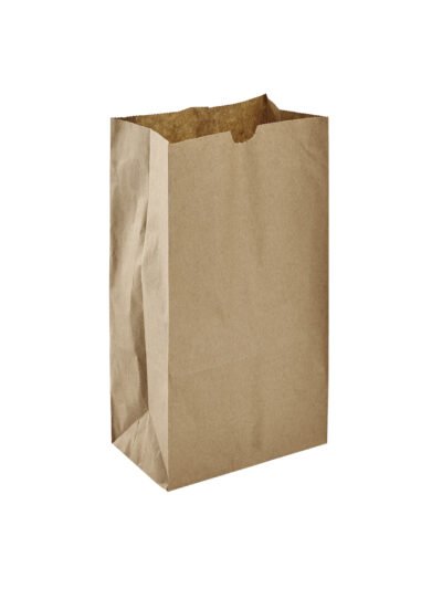 BAG PAPER 6LB BROWN